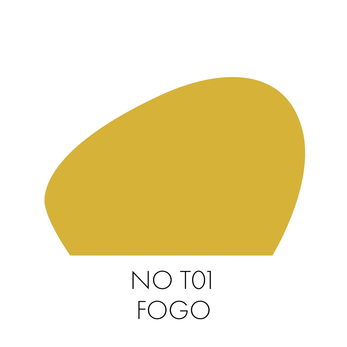 CAPAROL ICONS NO T01 FOGO - Wandfarbe