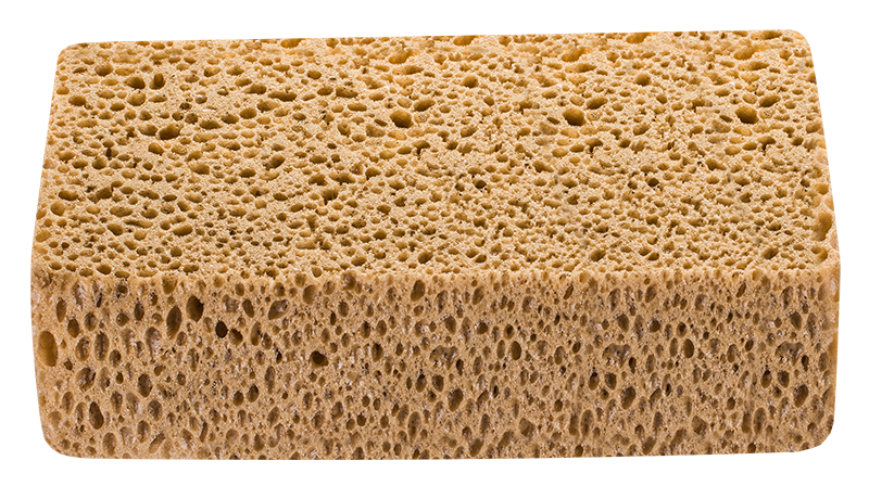 Hardex Schwamm 23x12x7cm