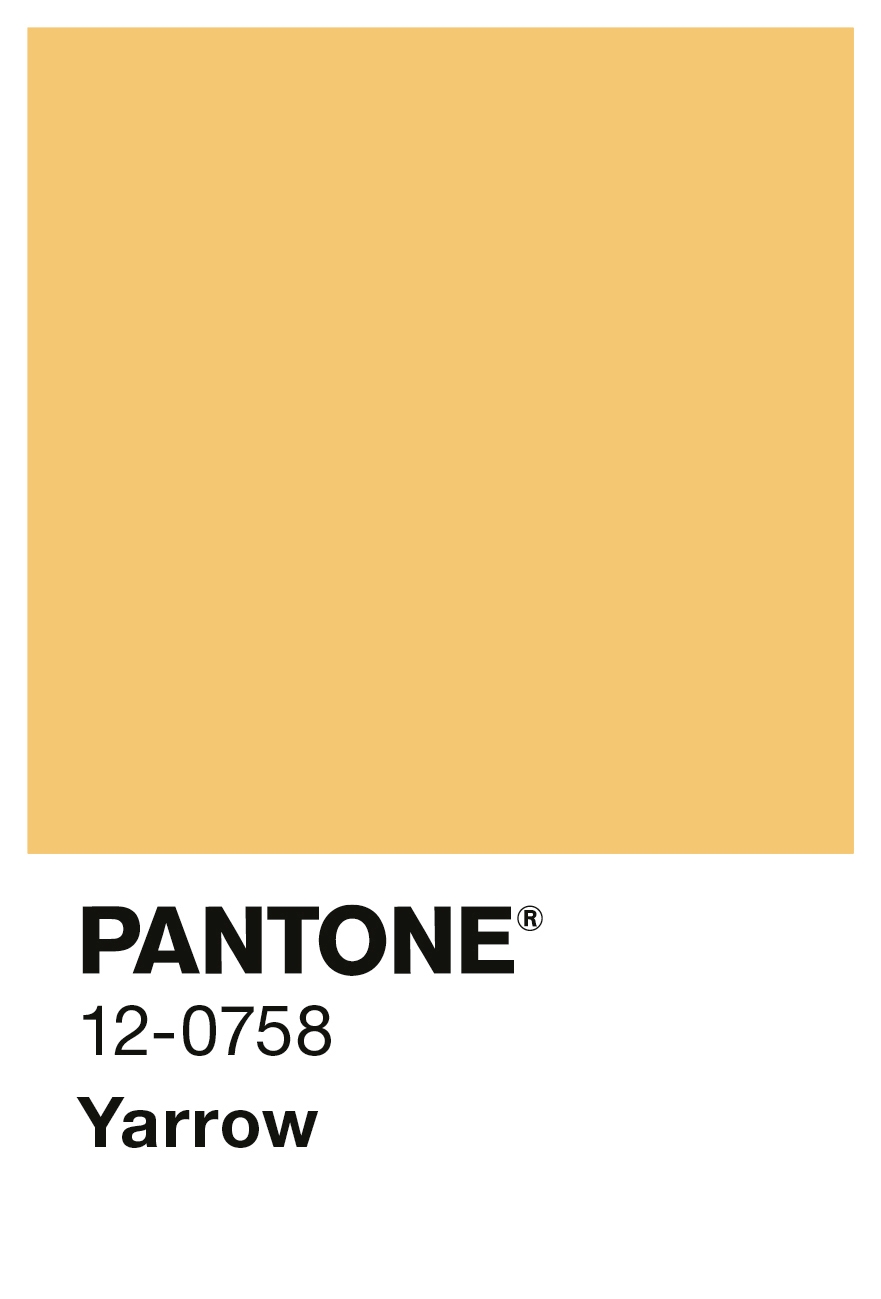 Alpina PANTONE® Yarrow - Wandfarbe