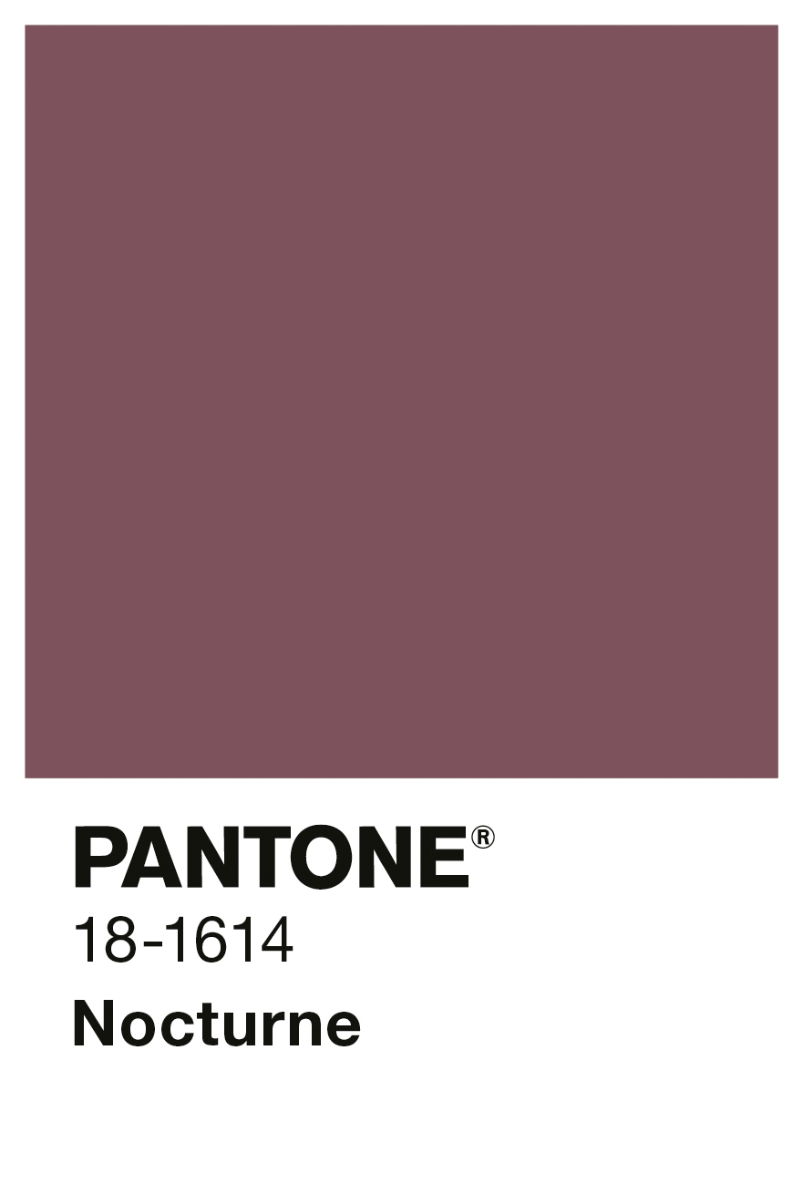 Alpina PANTONE® Nocturne - Wandfarbe